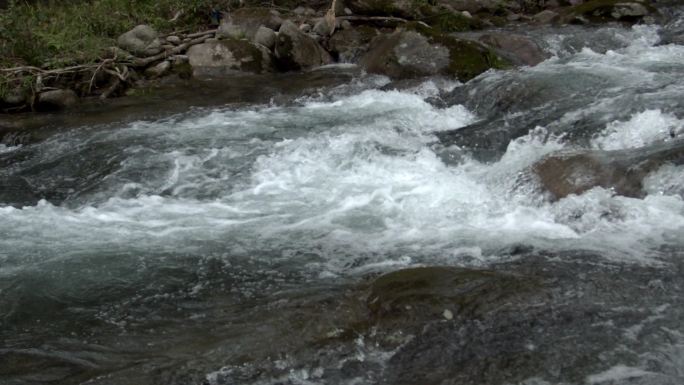 原始森林清澈溪涧流水