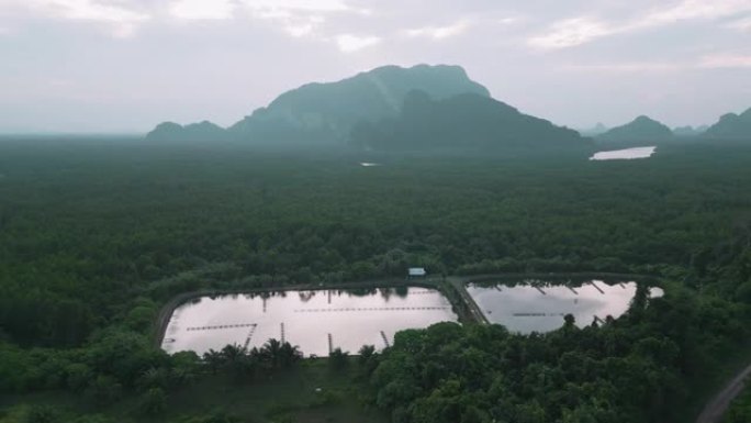 日出时潘牙和养鱼场的风景鸟瞰图