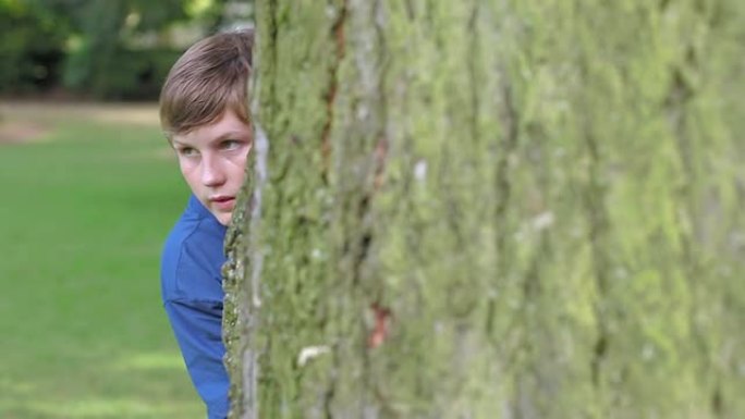 十几岁的男孩在树上玩躲猫猫