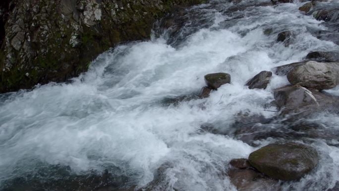 原始森林清澈溪涧流水