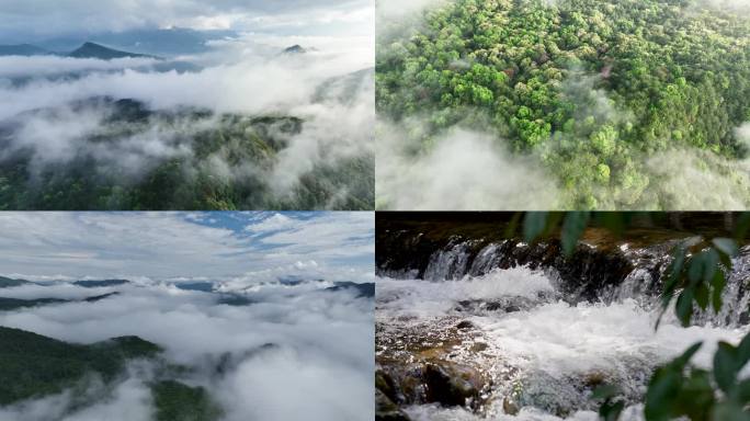 4K大自然风景森林树林流水山水云雾意境