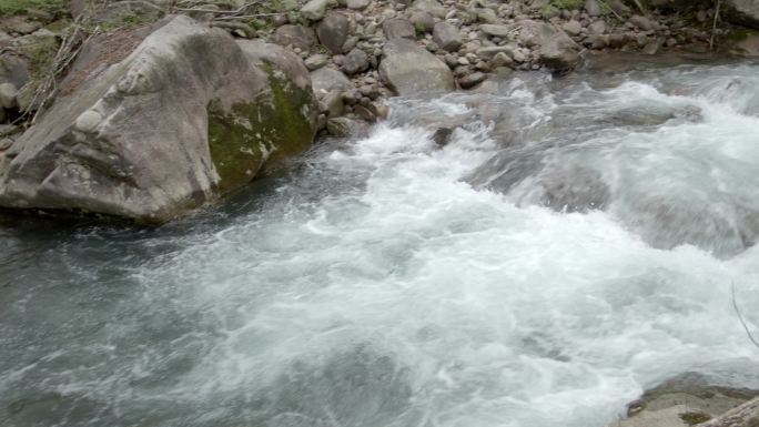 原始森林清澈溪涧流水