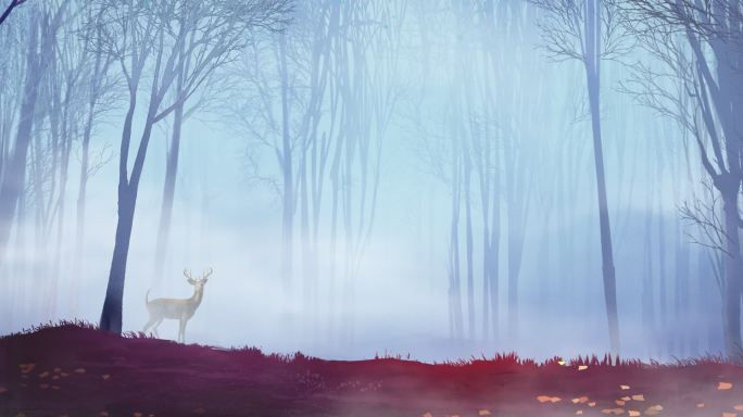 神秘的插画迷雾森林