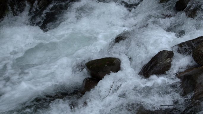 原始森林清澈溪涧流水