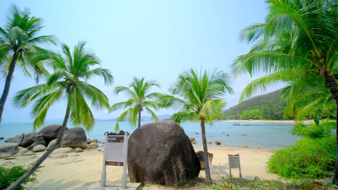 阴天多云椰树沙滩 海边椰子树 海滩