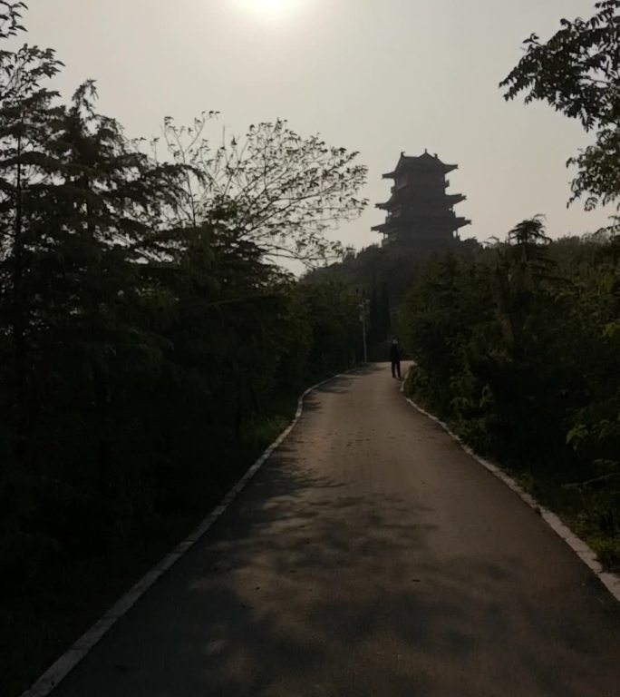 登山沿途的风景