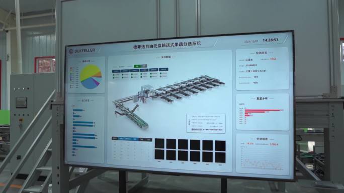 现代化苹果油桃清洗农产品包装加工流水线A