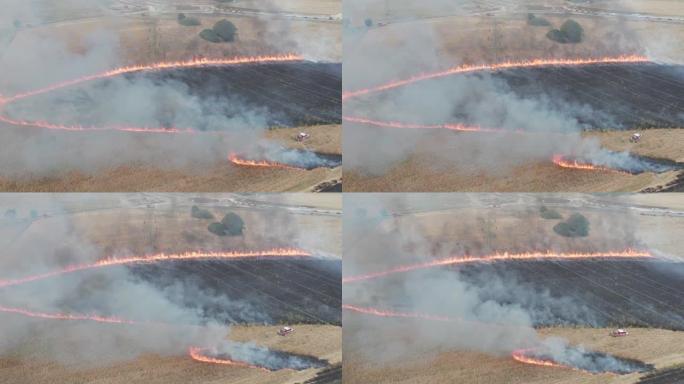 农田上的大火。谷物着火了，全球变暖危机和粮食短缺问题。