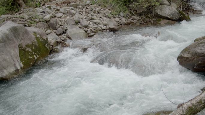 原始森林清澈溪涧流水