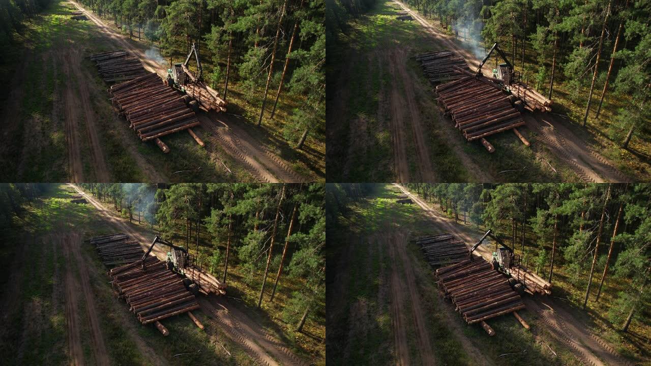 清理林地时的起重机运输机。轮式收割机将砍伐现场的原始木材运出。