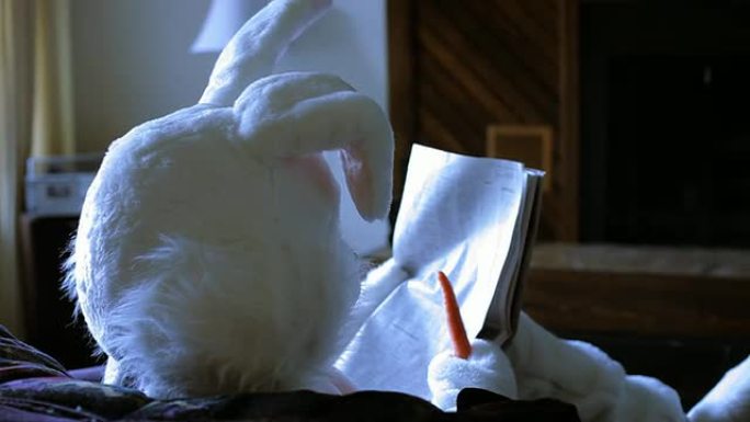 复活节兔子读报纸