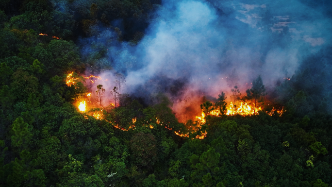 森林火灾失火山林防火