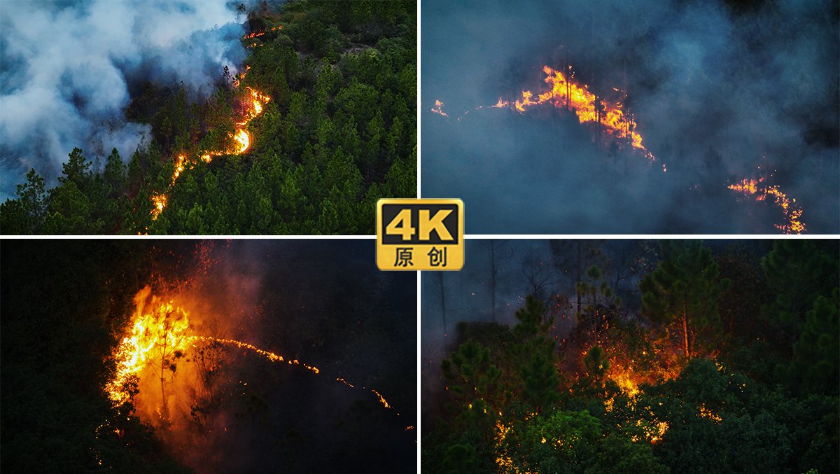 森林火灾失火山林防火