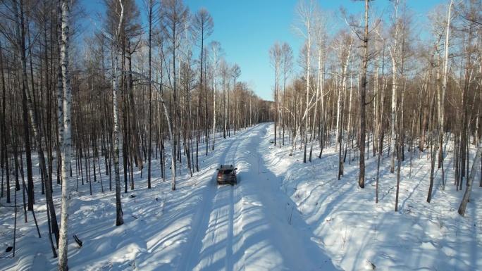 黑龙江大兴安岭北极岛汽车在雪中森林越野