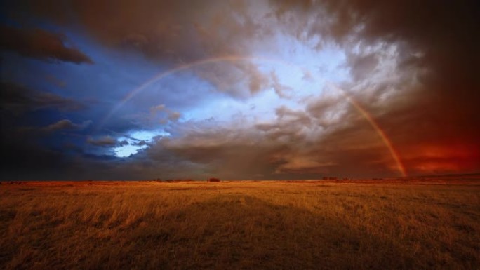 非洲野生动物保护区绿草如茵的彩虹美景