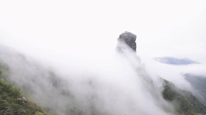 原始森林 梵净山 山花 云海 雾  云瀑