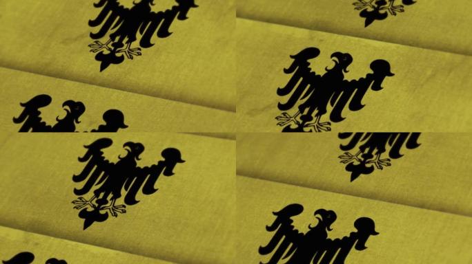 罗马帝国国旗动画库存视频-罗马帝国国旗纹理3d渲染背景-高度详细的织物图案库存视频