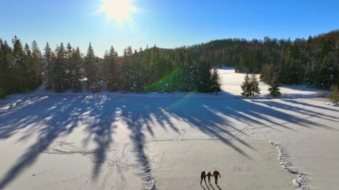 空中家庭在阳光下的冰冻湖上滑冰