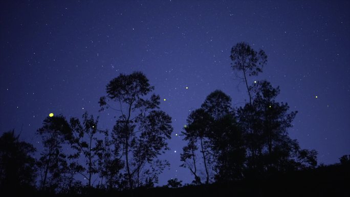 星空下的萤火虫