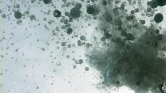 黑色墨滴在白水背景中旋转溶解