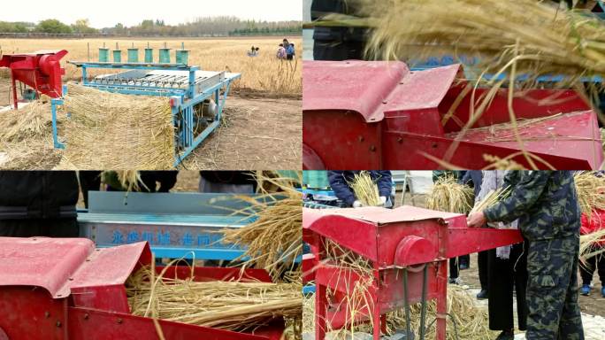 小麦收割机现代农业打麦