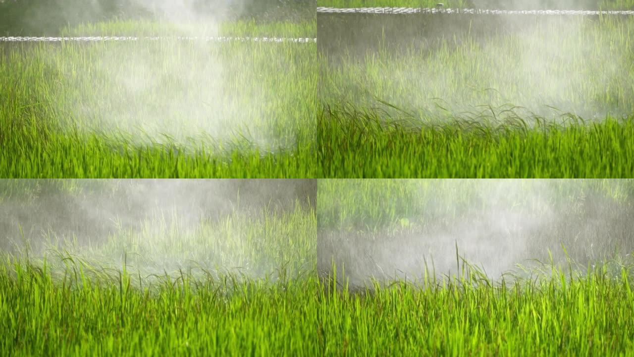 农业无人机在耕地上喷洒肥料或化学品。杂草中的杀虫剂、杀真菌剂或除草剂。