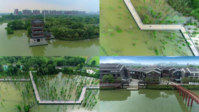 东莞华阳湖国家湿地公园