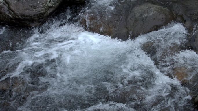 原始森林清澈溪涧流水