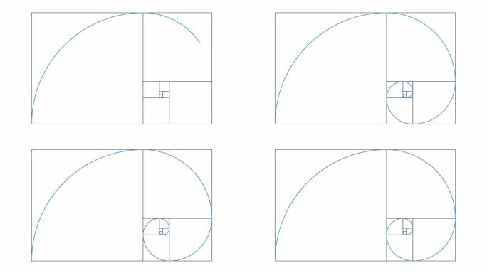 白色背景上的黄金比例螺旋动画