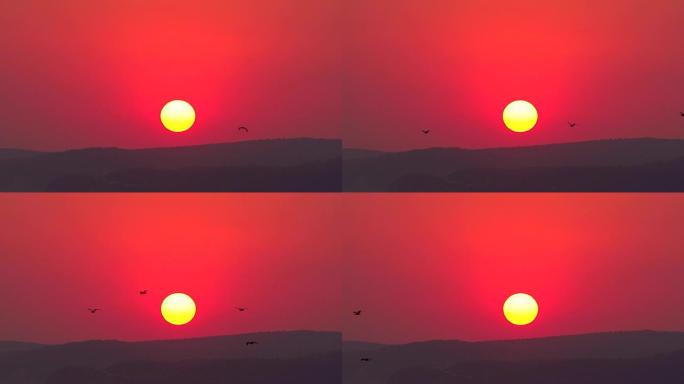 鸟儿在夕阳的橙色大圆盘前飞翔