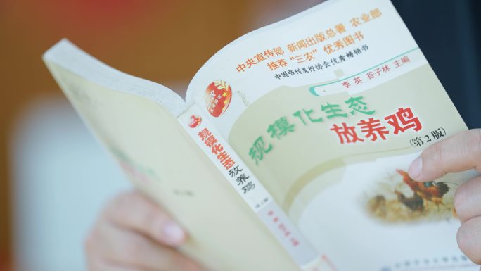 4K读书阅读养鸡学习