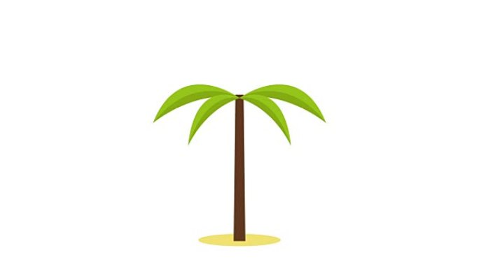 动画棕榈树/热带植物，孤立在透明背景为您的网站，网页横幅或演示文稿，现代平面设计概念风格。全高清。阿