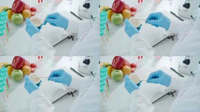 科学家在实验室检查化学食品残留物。控制专家检查水果、蔬菜的质量。实验室，危害，ROHs，发现违禁物质