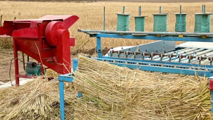 小麦收割机现代农业打麦