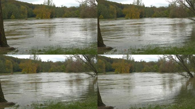 暴雨后河水超正常水位淹水秋景