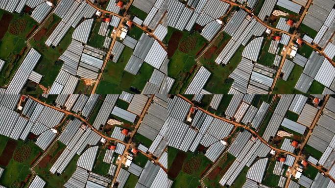 从上面看温室的无人机视图。土耳其的农业。直接在上面射击
