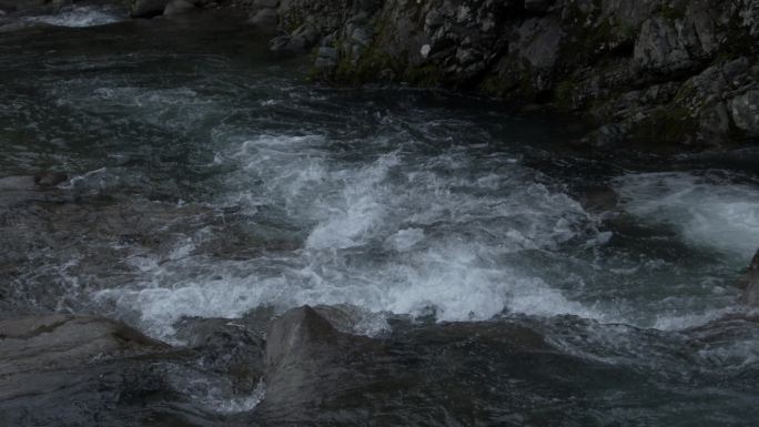 原始森林清澈溪涧流水