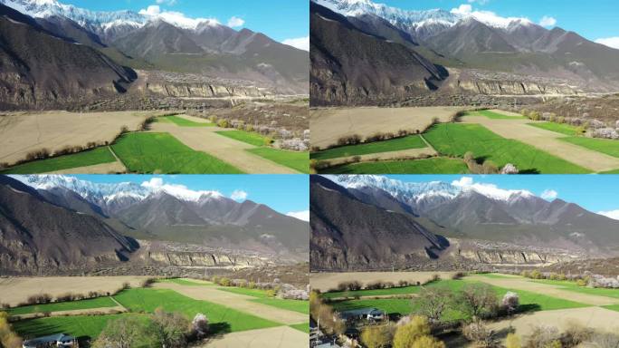 西藏林芝雪山脚下的田野与村庄