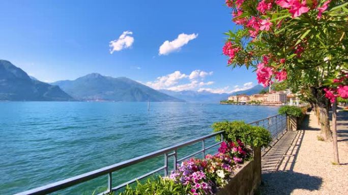 贝拉焦著名的花湖畔走道，科莫湖，意大利