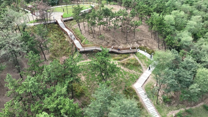 登山栈道游玩登山