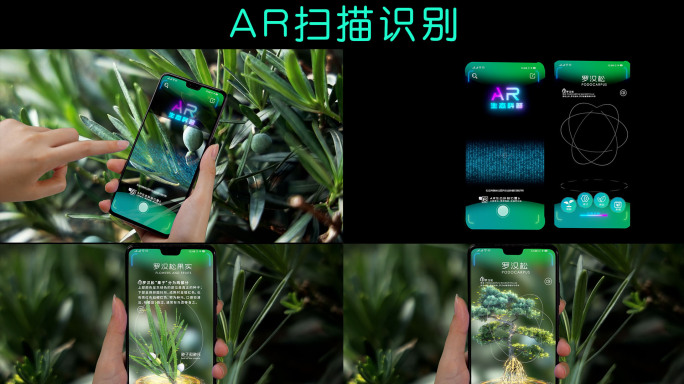 AR扫描植物识别科技元素AE包