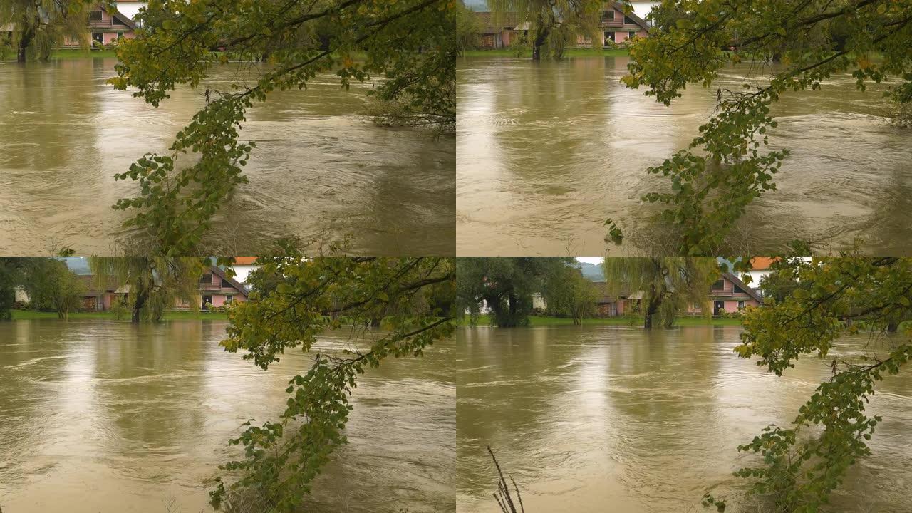 充满泥泞洪水的强大而奔腾的河流溢出河岸