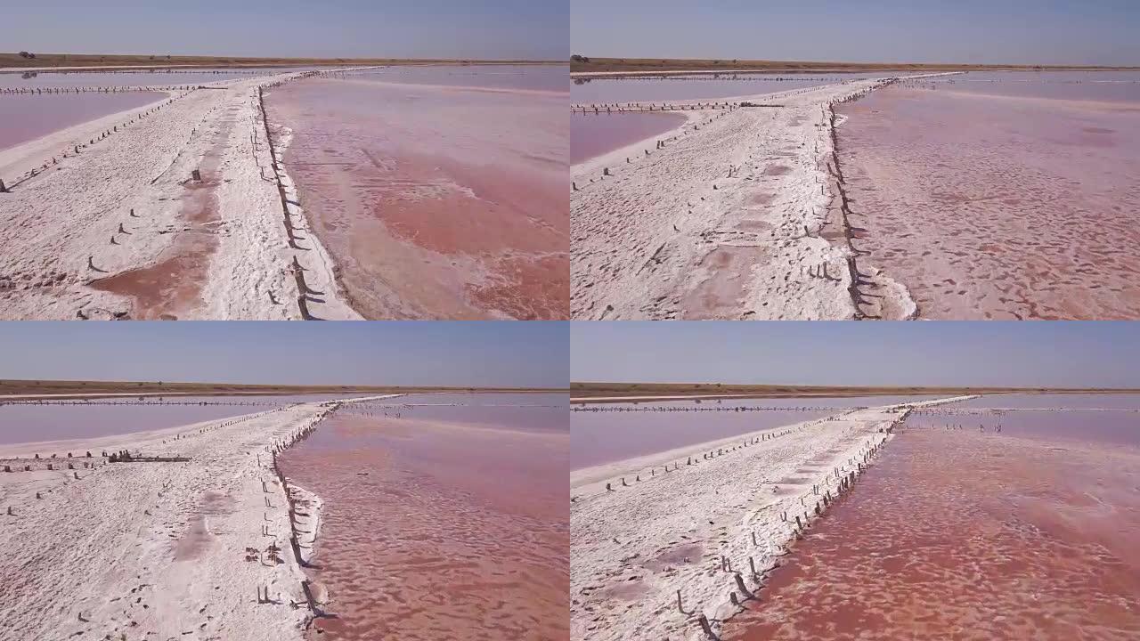 飞行在粉红色的盐湖上