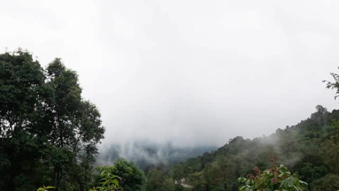 暴风雨和云正在移动金佛站立