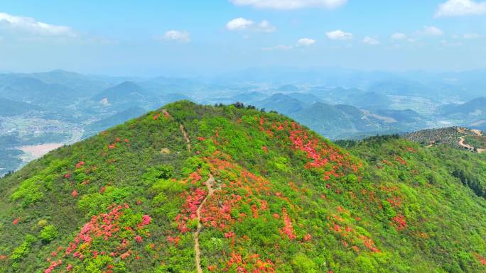 航拍浙江杭州桐庐杜鹃花 春色 乡村美景