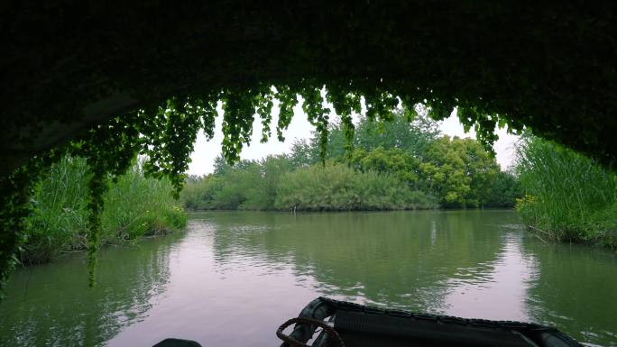 常熟湿地小船穿过桥洞