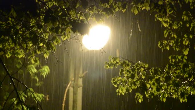 夜雨阵雨背景下的路灯灯