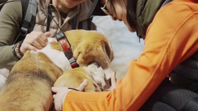 两名年轻的亚洲女性游客戴着墨镜抚摸着两只小猎犬，微笑着