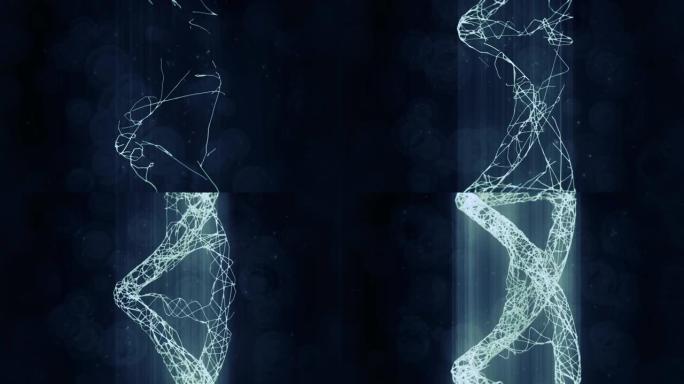 DNA结构线条三维动画视频素材