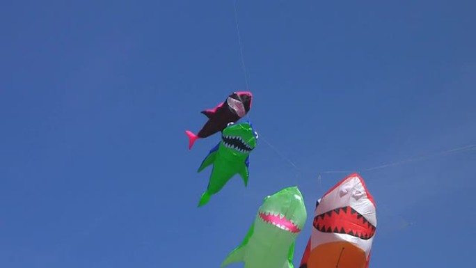 鲨鱼风筝对抗蓝天